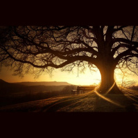 1112- The Sense of an Ending