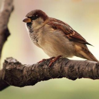 Social Media Savvy Tip - Twitter Lists