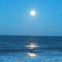 7 Deadly Sins of Social Media: Slowing Down Skimmers