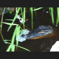 7 Deadly Sins of Social Media: Visually Boring Posts