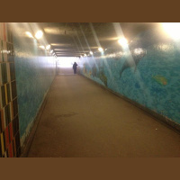  Guerrilla grime buster Richard Reynolds at the Elephant  Castle subways