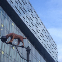 Mark Dickens at the Dog and Pot unveiling