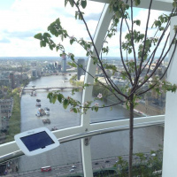 Adolfo Harrison introduces Cityscapes South Bank  Bankside pop up gardens