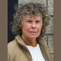 Kate Hoey MP on Westminster Bridge bike lanes