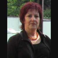 Cynthia Barlow from Roadpeace welcomes TfL new road safety plan