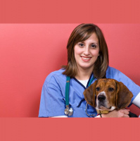 Veterinarian 3
