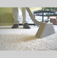Carpet Cleaners