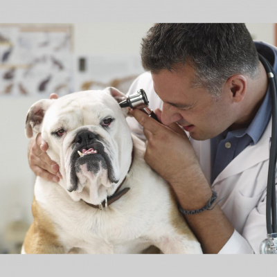 Newfangled Commerces Posts