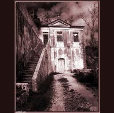 Newfangled Commerces Posts