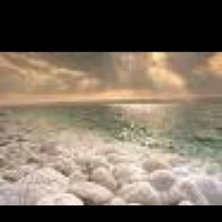 Lectio Divina 1/20/11