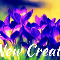 2177: A New Creation” | 10Mar24 | Malcolm Cox