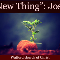S2 Ep2174: A New Thing” - Joseph | 03Mar24 | Andrew Agerbak