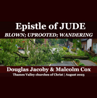 S2 Ep2090: Jude -- Blown, uprooted, wandering | Malcolm Cox  Douglas Jacoby