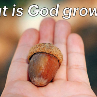 S2 Ep2287: What is God growing? | Malcolm Cox | 07 September 2025