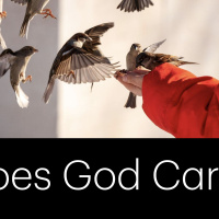 S2 Ep2194: Does God Care?” - Matt 10:26-31 | 28Apr24 | Malcolm Cox