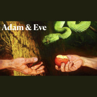 S2: Men and Women in Christ | Adam  Eve | Malcolm Cox