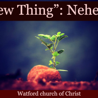 S2 Ep2171: A New Thing” - Nehemiah | 18Feb24 | Stefan Wolmarans