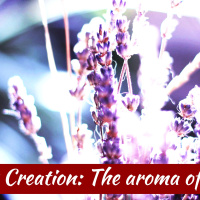 S2 Ep2181: A New Creation | Class 3 - The Aroma of Christ | Malcolm Cox