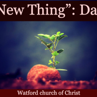 S2 Ep2165: A New Thing” - Daniel | 04Feb24 | Stefan Wolmarans