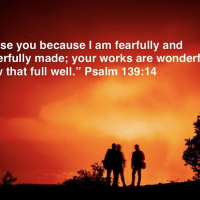 S2 Ep2223: You Are A Wonder! | Psalm 139 | Malcolm Cox | 11 Aug 2024