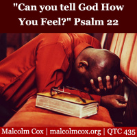 S2 Ep2116: Quiet Time Coaching Episode 435 | “Can you tell God How You Feel?” Psalm 22