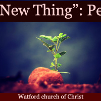 S2 Ep2170: A New Thing” - Peter | 11Feb24 | Archie  Jasmine Higgin