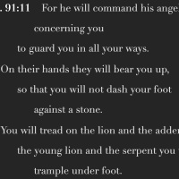 S2 Ep2265: Perfectly Safe | Psalm 91.11-12 | Malcolm Cox