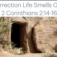 S2 Ep2184: New Creation -- New Smell” | 31Mar24 | Malcolm Cox