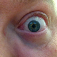 Contents of my brain for #deadpan @jackmangan