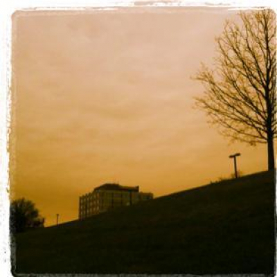 Brad P. From Njs Posts