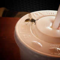 Gebrabbel, Zeuchs  Gelump