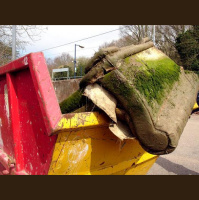 Cleaning up the muddy banks of the Colne with #Wivenhoe Society