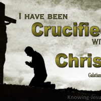 A NEW LIFE OF POWER WITH CHRIST