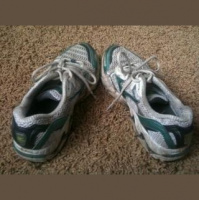 Training Boo for the Manchester 10k run