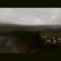 Passed by a snail 1b 