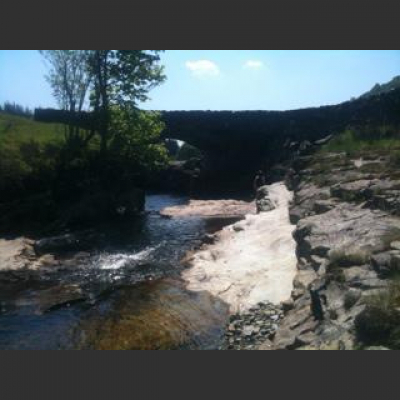 Justine Potters Posts