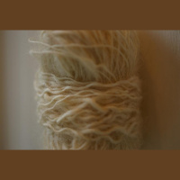 Finding my way around the fleece of a Cotswold Sheep, with Carol Thorpe at the Oxford Guild of Weavers, Spinners and Dyers (and knitters)