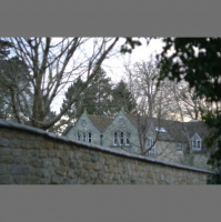 Woodpecker and DIY Duet