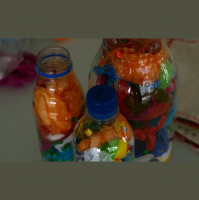 Crafting with rubbish and waste and plastic bottles