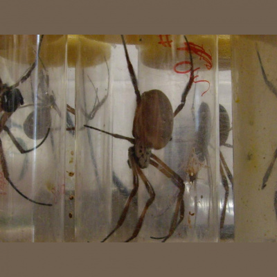 Felicity Fords Posts