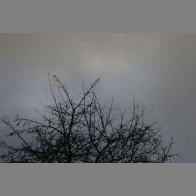 Felicity Fords Posts