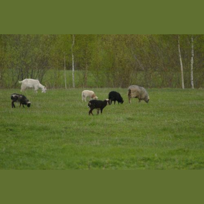 Felicity Fords Posts