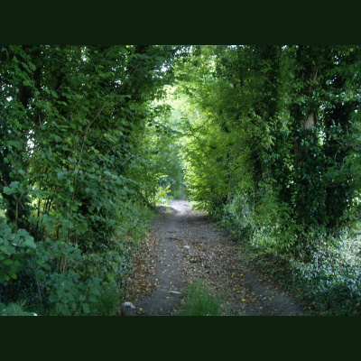 Felicity Fords Posts