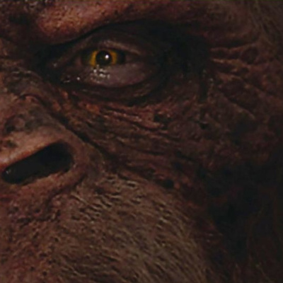 Tak Tak Duken - Podcast