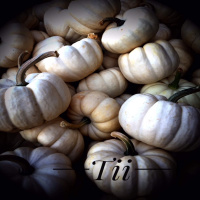 Tii - iTem 0410 - iOS 10.0.3 and 10.1 Beta 4 and 3