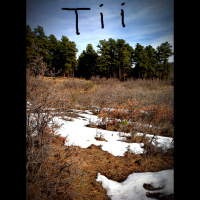 Tii - iTem 0217 - I have never seen anything like it in my life