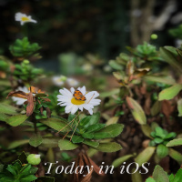 Tii - iTem 0409 - iOS 10.1 beta 2