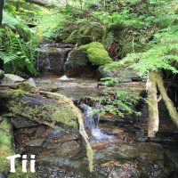 Tii 0490 - iOS 13.3 Gold Master 