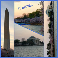 Tii - iTem 0388 - iOS 9.3.1 and iPhone SE