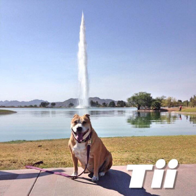 Today In Ios Podcast - The Unofficial Ios, Iphone, Ipad, And Apple Watch News And Iphone Apps Podcast